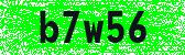 Click to reload image