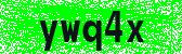 Click to reload image