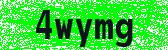 Click to reload image