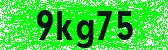 Click to reload image