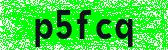Click to reload image